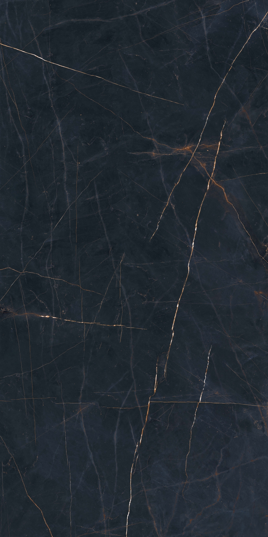 Precious Black/ Престижио Блек