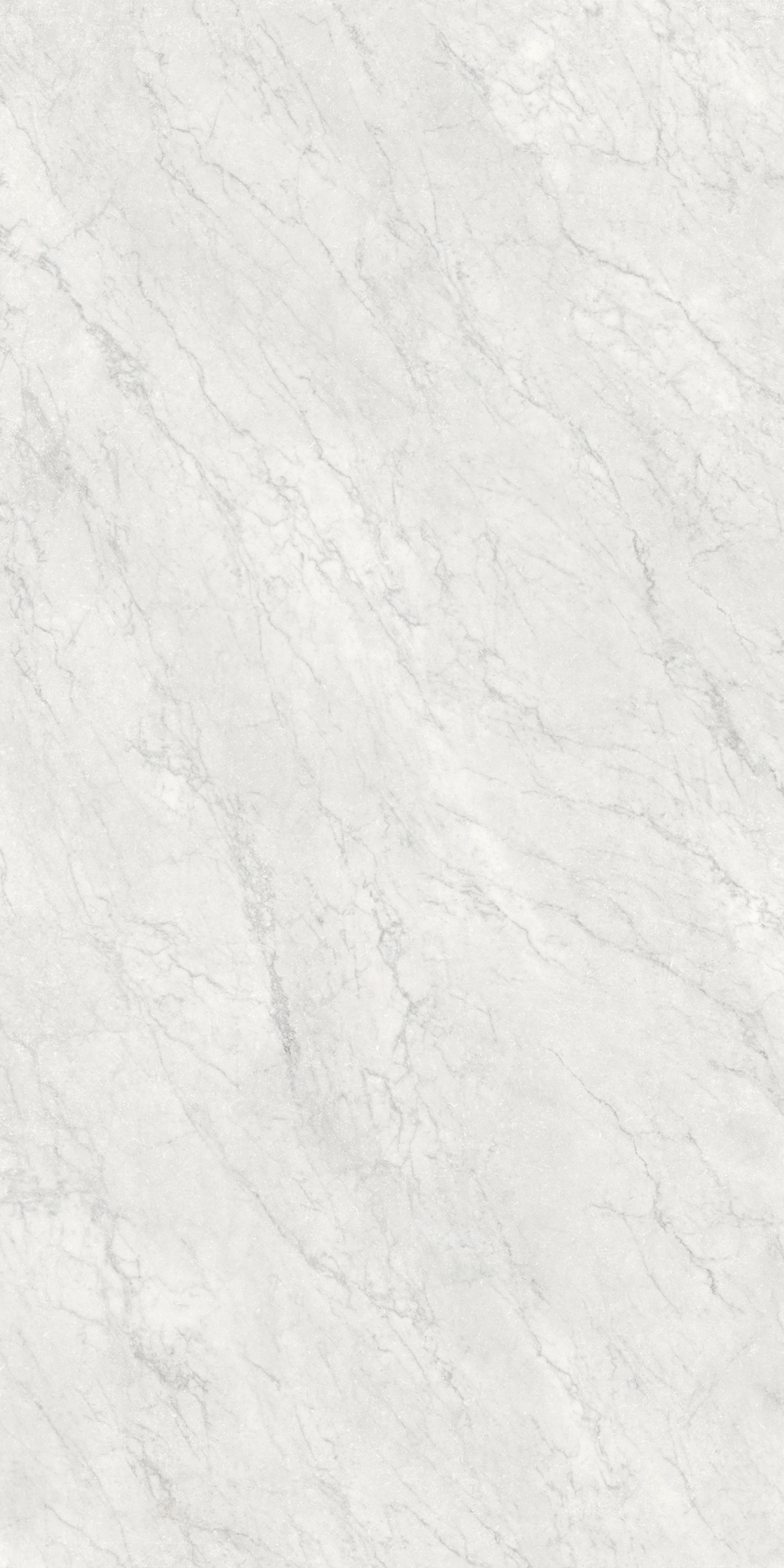Carrara gioia / Карара Джиония