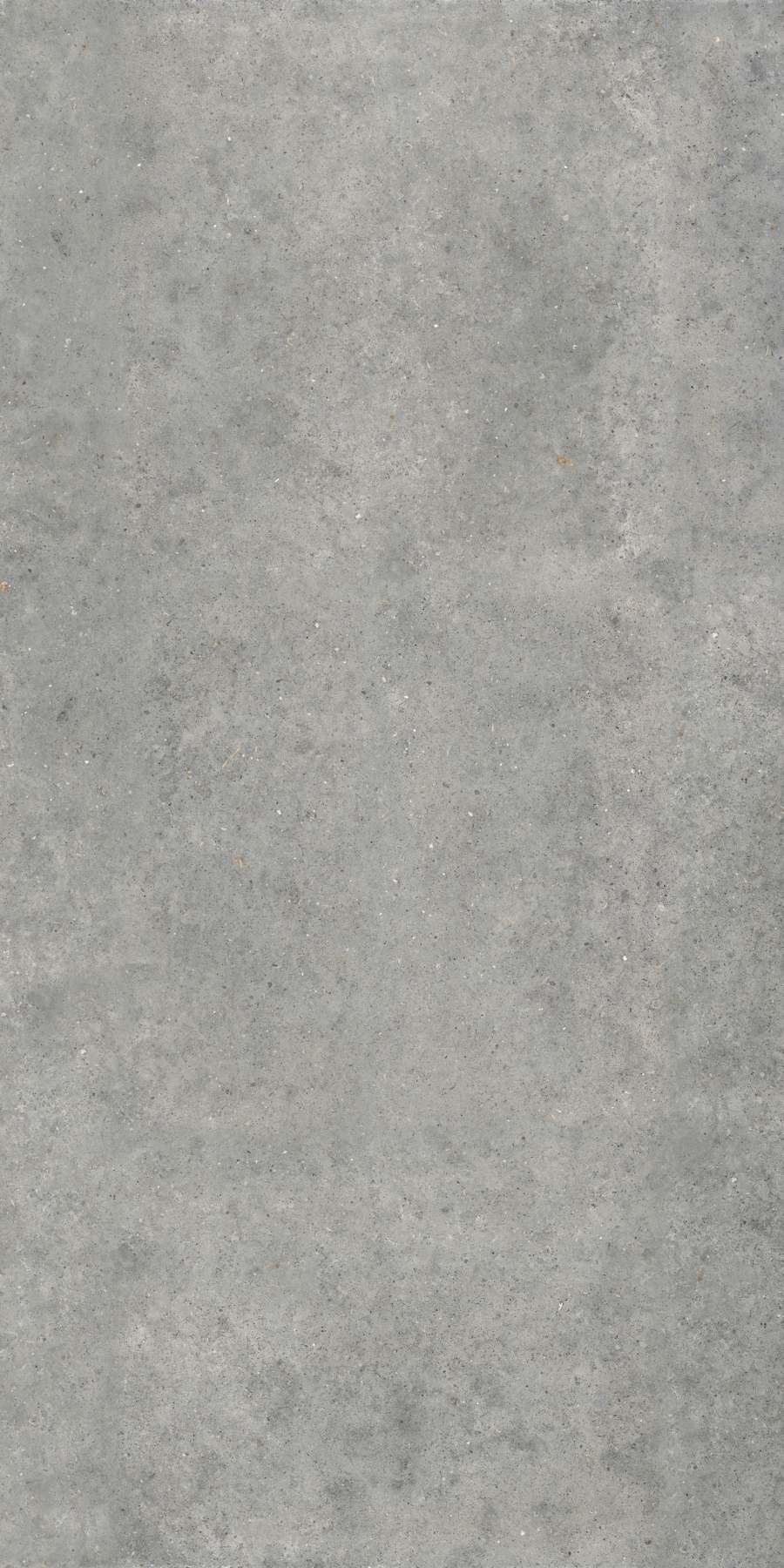 Pirenei Grey / Перенеи Грей
