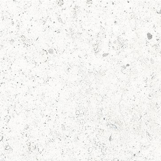 Vitacer Коллекция CORALROCK Pearl Mat 60*120 см  / Витацер КоралРок Перл Мат 60*120 см
