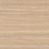 J12J6051