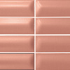 Carmen/Ape Grupo Коллекция THREE-D Terracota 5*20 см (R66)  / Кармен Апе Групо Коллекция Три-Д Терракота 5*20 см (R66)
