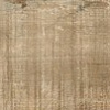 Idalgo / Идальго WOOD EGO Вуд Эго SR Беж 120x19.5 см
