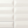 Carmen/Ape Grupo Коллекция THREE-D Snow 5*20 см (R66)  / Кармен Апе Групо Коллекция Три-Д Сноу 5*20 см (R66)