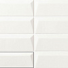 Carmen/Ape Grupo Коллекция THREE-D Cups Snow 5*20 см (R66)  / Кармен Апе Групо Коллекция Три-Д Капс Сноу 5*20 см (R66)
